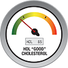 HDL Cholesterol